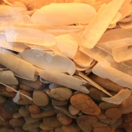 Penzion Quinta Da Ameijeira Lagos