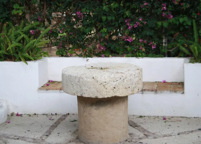 Πανσιόν Quinta Da Ameijeira 4*