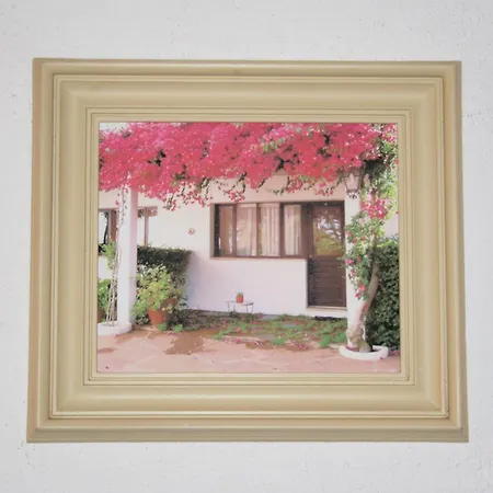 Casa de hóspedes Quinta Da Ameijeira